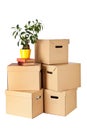 Cardboard boxes on white background Royalty Free Stock Photo