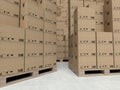 Cardboard boxes on wooden paletts, inside the warehouse Royalty Free Stock Photo