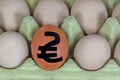 cardboard container with eggs and a hryvnia symbol drawn with a marker. Rise in the price of eggs
