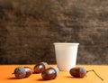 Cardboard cup of acorn coffee and acorns Royalty Free Stock Photo