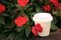 Cardboard cup with tasty coffee near beautiful flowers outdoors Royalty Free Stock Photo