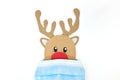 Cardboard cutout of Rudolph the red-nosed reindeer peeking while wearing a face mask. Covid during Christmas season concept. Royalty Free Stock Photo