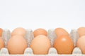 Cardboard Egg Box With Brown Eggs Royalty Free Stock Photo