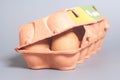 Cardboard egg box with brown eggs Royalty Free Stock Photo
