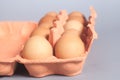 Cardboard egg box with brown eggs on gray Royalty Free Stock Photo