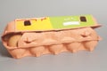 Cardboard egg box with brown eggs Royalty Free Stock Photo