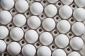 Cardboard egg box with chicken white eggs i Royalty Free Stock Photo