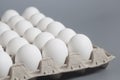Cardboard egg box with chicken white eggs Royalty Free Stock Photo