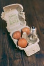 A cardboard egg container has three eggs and a tungsten light bulb inside Royalty Free Stock Photo