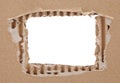 Cardboard frame