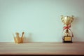 Cardboard golden crown with champion golden trophy placed on woo Royalty Free Stock Photo