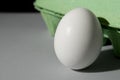 Fresh white egg on the background of a green tray on a gray table. Royalty Free Stock Photo