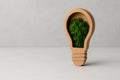 A cardboard light bulb with moss growing inside. Space for text. Royalty Free Stock Photo