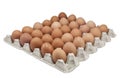 Cardboard packaging with brown eggs on a white background isolated Royalty Free Stock Photo
