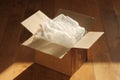 Cardboard Packing Box and Bubble Wrap