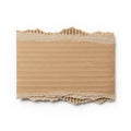 Cardboard piece with torn edges and corrugated texture isolated on white background Royalty Free Stock Photo