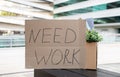 Cardboard sign with 'Need Work' text alongside personal items Royalty Free Stock Photo