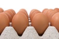 Cardboard tray filled with brown eggs Royalty Free Stock Photo