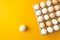 Cardboard tray full of natural farm chicken eggs and one white egg isolated on yellow background. Easter holiday. Royalty Free Stock Photo