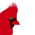 Cardinal bird face vector illustration flat style profile Royalty Free Stock Photo