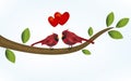 Cardinal bird in love on a branch tree heart valentine symbol print art vector image Royalty Free Stock Photo