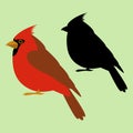 Cardinal bird vector illustration black silhouette flat style Royalty Free Stock Photo