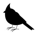 Cardinal bird,vector illustration, black silhouette , profile Royalty Free Stock Photo