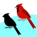 Cardinal bird , vector illustration , flat style, black silhouette Royalty Free Stock Photo