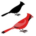 cardinal bird, vector illustration ,flat style ,profile Royalty Free Stock Photo