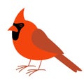 Cardinal bird,vector illustration, flat style, profile Royalty Free Stock Photo