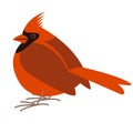 Cardinal bird,vector illustration, flat style, profile Royalty Free Stock Photo