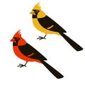 Cardinal bird, vector illustration, flat style, side Royalty Free Stock Photo