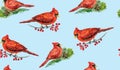 Cardinal birds on branches with red berries and pine twig, hand painted watercolor illustration, seamless pattern design Royalty Free Stock Photo