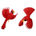 Cardinal cartoon set Royalty Free Stock Photo