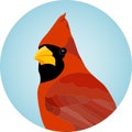 portrait of a northern red cardinal