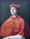 The Cardinal. Painted by Raphael, 1510