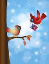 Cardinal Pair with Tree and Snowflakes Royalty Free Stock Photo