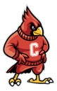 Cardinal school mascot