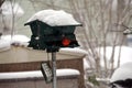 A bird seeks shelter in a snow storm