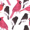 Cardinals and black phoebe seamless watercolor repeat background Royalty Free Stock Photo