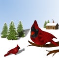 Cardinals and Snow Royalty Free Stock Photo