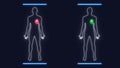 Human Male Anatomy Analysis Scan on Futuristic Touch Screen Interface showing bones, organs, and neural network activity