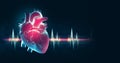 Human heart anatomy. Heart veins and arteries 3D illustration. Heartbeat stress cardiogram X-ray