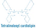 Cardiolipin tetralinoleoyl cardiolipin molecule. Skeletal chemical formula.