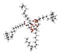 Cardiolipin (tetralinoleoyl cardiolipin) molecule. Important component of the inner membrane of mitochondria. 3D rendering. Atoms