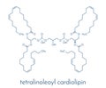 Cardiolipin tetralinoleoyl cardiolipin molecule. Important component of the inner membrane of mitochondria. Skeletal formula.