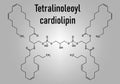 Cardiolipin tetralinoleoyl cardiolipin molecule. Skeletal chemical formula.