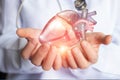 Cardiologist supports the heart . Royalty Free Stock Photo