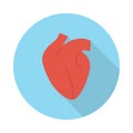 Cardiology flat vector icon