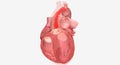 Cardiomyopathy is a disease of the heart muscle that causes the